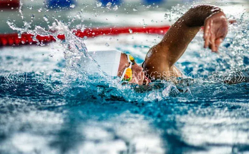 千亿球友会qyh988百度游戏《梅里斯：足球明星的职业生涯和个人资料》