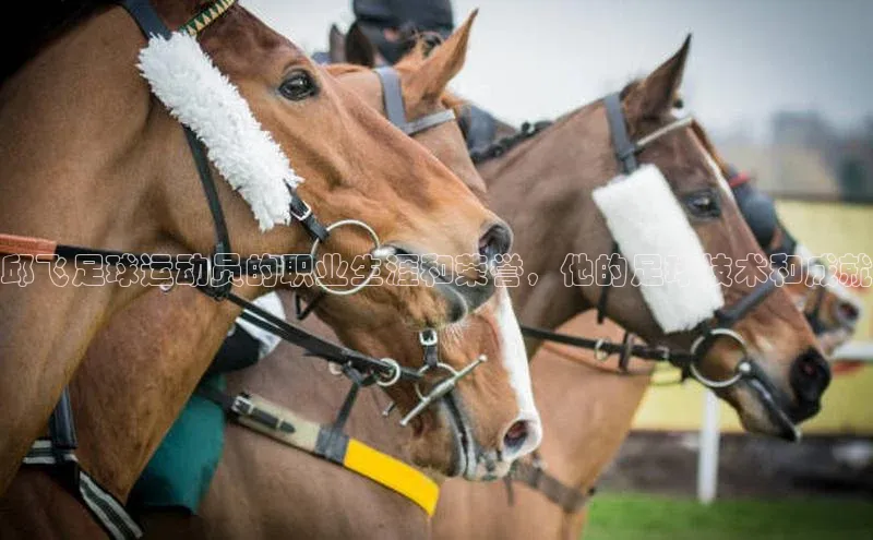 千亿球友会qyh988顺丰邱飞足球运动员的职业生涯和荣誉，他的足球技术和成就