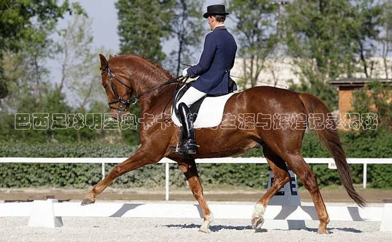 QY球友会-充值中心梯哥哥科技巴西足球明星奥卡卡: 传奇生涯与辉煌记录揭秘