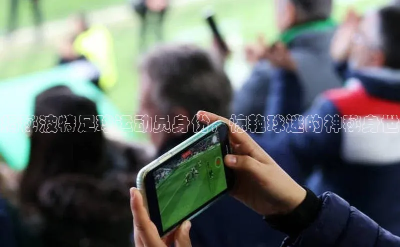 QY千亿球友会app极氪智能科技揭秘波特足球运动员身份，惊艳球迷的神秘身世