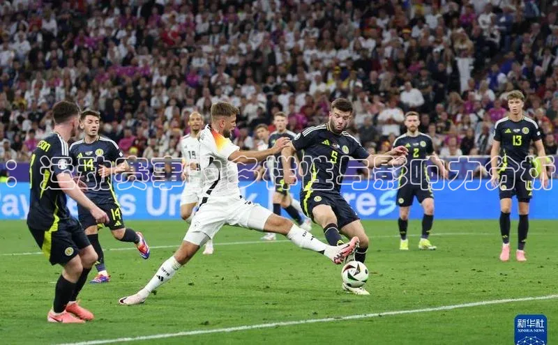 ：运动赛事的多样性与影响力分析