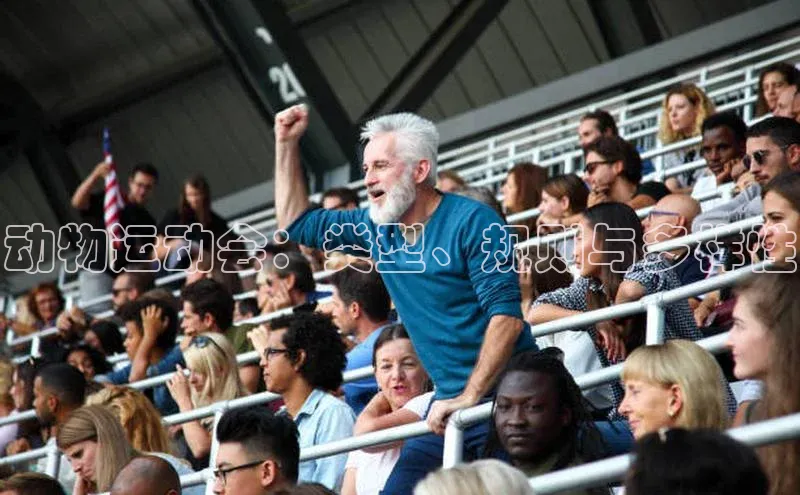 动物运动会：类型、规则与多样性