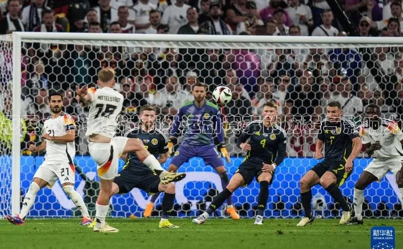 冠军之路：探讨顶级运动赛事的历程与影响力