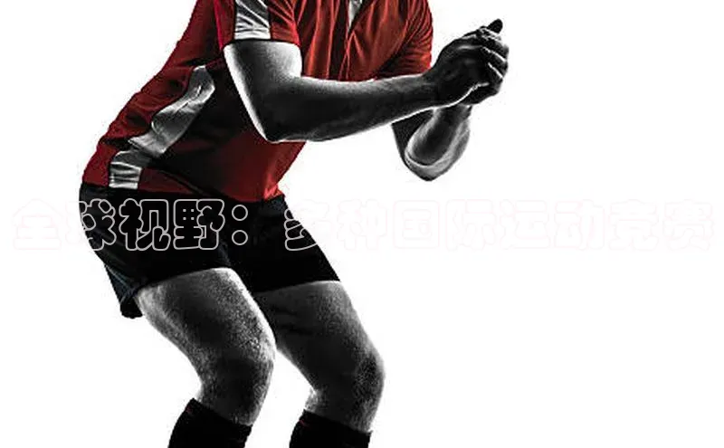 全球视野：多种国际运动竞赛