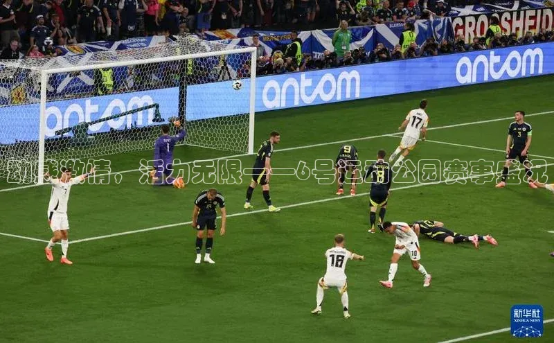 动感激情，活力无限——6号运动公园赛事盛况