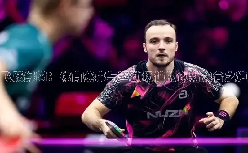 飞跃绿茵：体育赛事与运动场馆的创新融合之道
