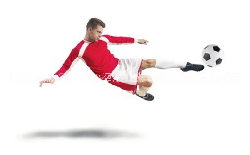 运动健将风采：2023年度运动会优秀运动员事迹汇编