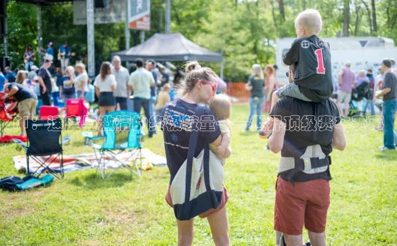 F1：速度与激情的终极较量——世界顶级赛车赛事