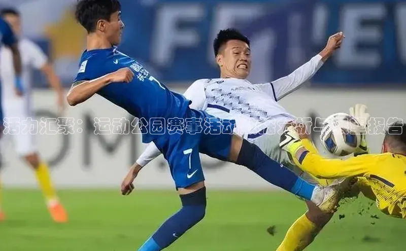 活力汇聚：运动公园赛事活动数据分析与展望报告