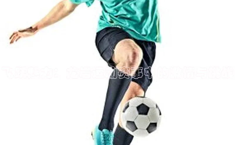 飞跃魅力：龙岩运动赛事中的激情与挑战